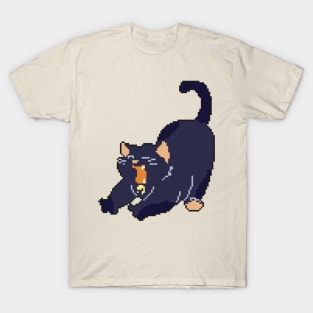 Cute Cat Whiskers: Pixel Art Design for Fashionable Apparel T-Shirt